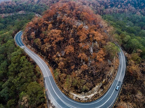 Bend in Putty road with burnt trees after a bushfire - Australian Stock Image