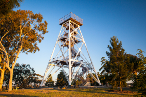 Bendigo Lookout Tower in Rosalind Park on a warm Spring evening - Australian Stock Image