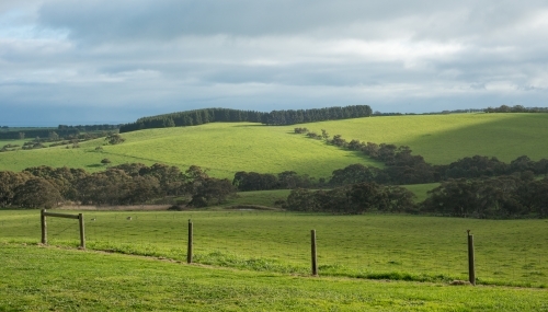 Big green field - Australian Stock Image
