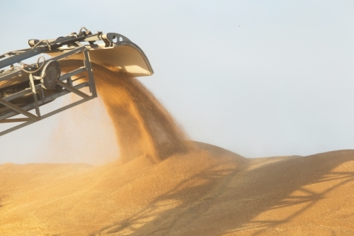 Big industrial steel machine pouring fine grain into the dune - Australian Stock Image