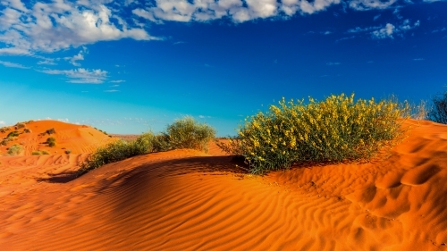Big Red Sand Dune - Australian Stock Image