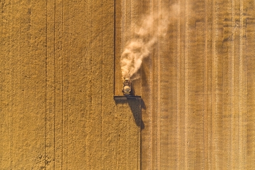 Bird's eye view of a header harvesting a barley crop in the late afternoon.