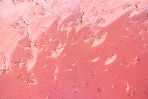Bird's eye view of the white salt-encrusted shore of a pink lake in Western Australia. - Australian Stock Image
