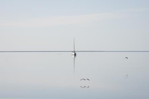 Birds flying low over the bay towards boat, and flat horizon - Australian Stock Image