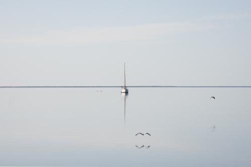 Birds flying low over the bay towards boat, and flat horizon