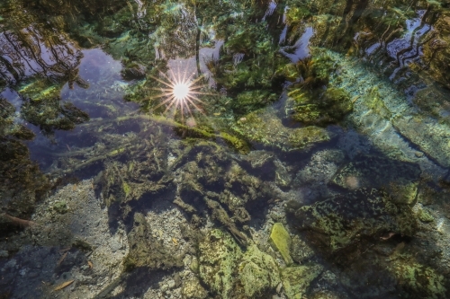 Bitter Springs natural thermal pool - Australian Stock Image
