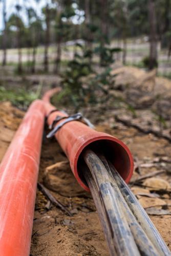 Black power cables inside orange electrical conduit - Australian Stock Image