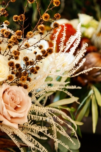 Bleached dried fern in floral arrangement