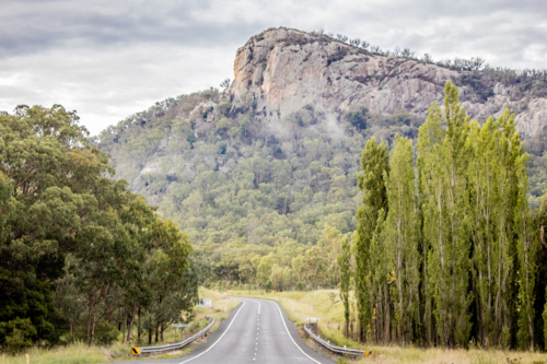 Bluff Rock Poplars and road - Australian Stock Image