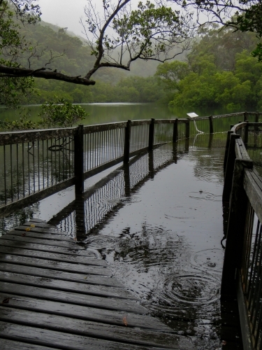 Boardwalk awash in a king tide in the rain (vertical) - Australian Stock Image