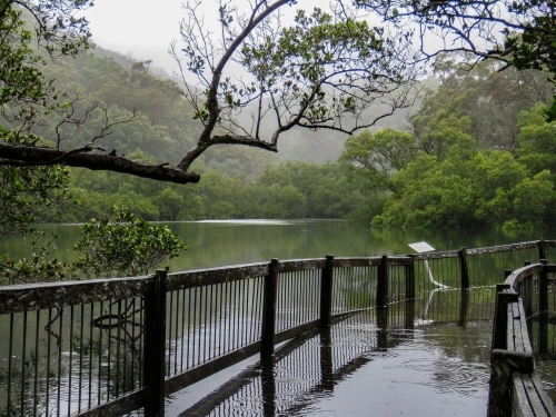 Boardwalk under king tide in the mist horizontal - Australian Stock Image