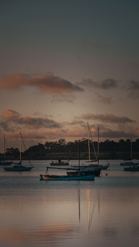 Boats Docked at the Geelong Waterfront before Sunrise - Australian Stock Image