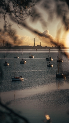 Boats Docked at the Geelong Waterfront before Sunrise - Australian Stock Image