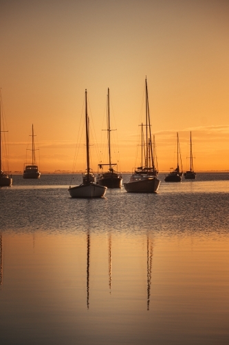 Boats Docked at the Geelong Waterfront before Sunrise - Australian Stock Image