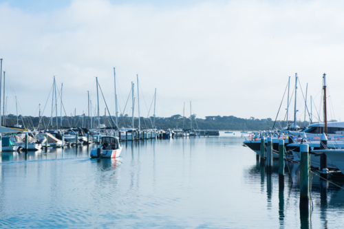 Boats lined up on still water in ocean marina - Australian Stock Image