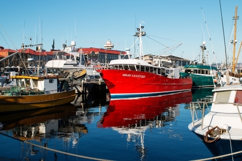 boats moored at docks - Australian Stock Image