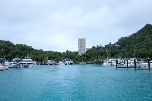 boats moored in marina - Australian Stock Image