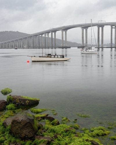 Boats moored in the River Derwent with the Tasman Bridge in the background - Australian Stock Image