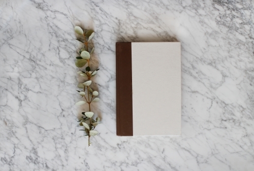 Book with eucalyptus branch on marble background - Australian Stock Image