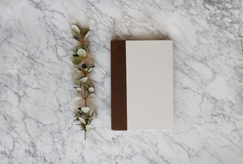 Book with eucalyptus branch on marble background
