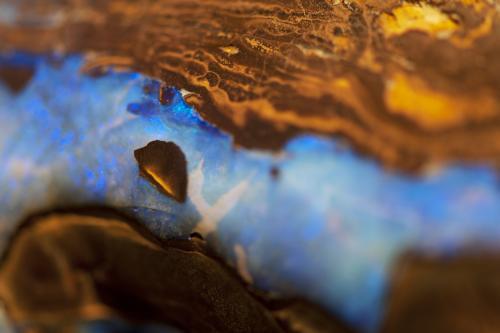 Boulder Opal close up - Australian Stock Image