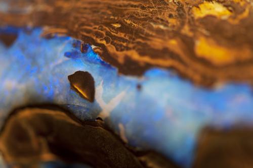 Boulder Opal close up