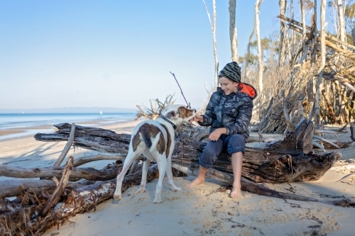 Boy and dog explore the remote coast of Queensland - Australian Stock Image