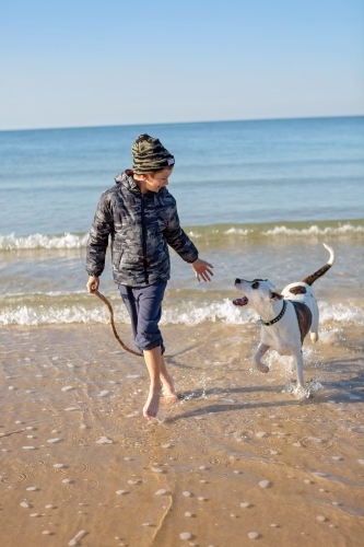 Boy and dog explore the remote coast of Queensland - Australian Stock Image