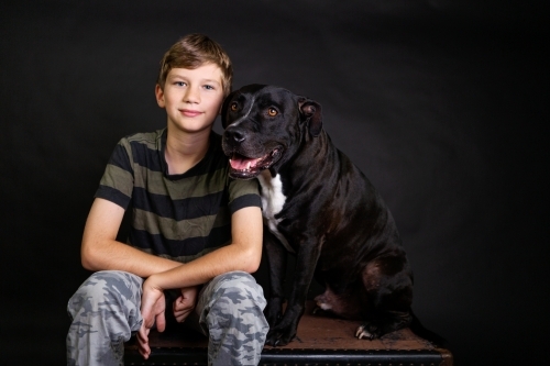 boy and dog in studio portrait - Australian Stock Image