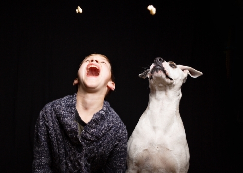 Boy and his dog in fun studio portrait on black - Australian Stock Image