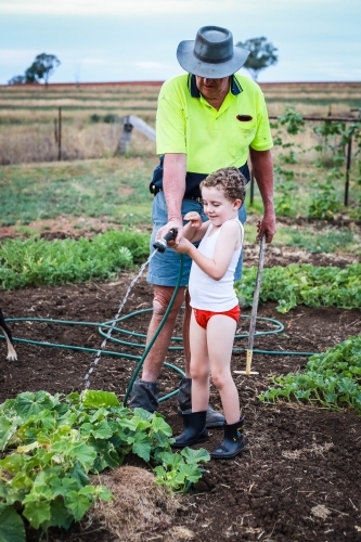 Boy and man on farm watering plants - Australian Stock Image