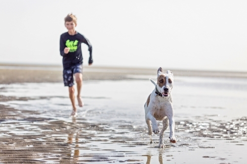 Boy at play with dog on the beach - Australian Stock Image