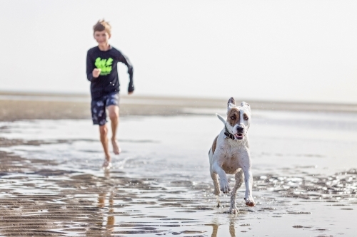 Boy at play with dog on the beach
