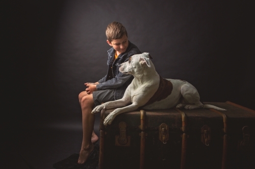 Boy & Dog in studio setting - Australian Stock Image