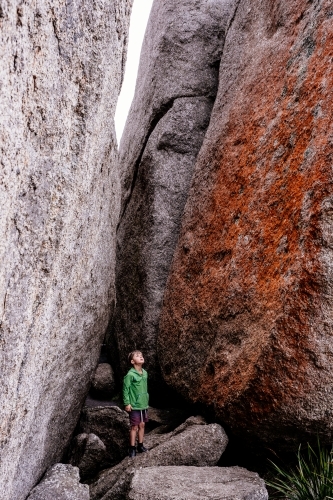 Boy in awe of nature