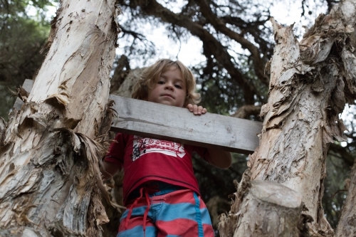 Boy in tree house - Australian Stock Image