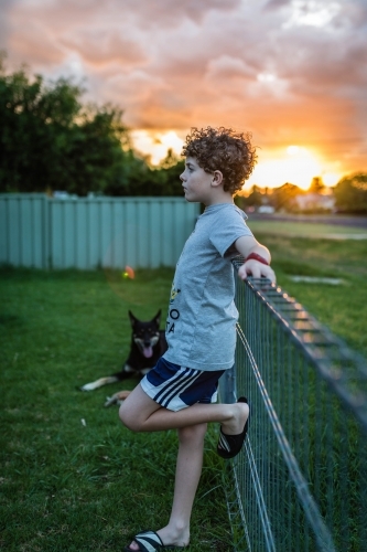 Boy leaning on fence with leg up and kelpie dog at sunset - Australian Stock Image