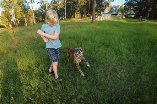 Boy playing with American Bulldog running and active in nature - Australian Stock Image