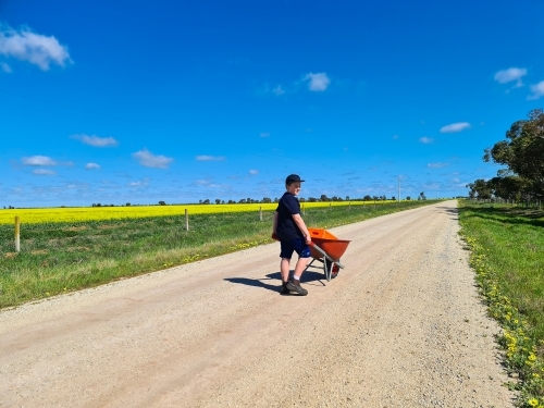 Boy pushing wheelbarrow down country road beside canola paddock - Australian Stock Image