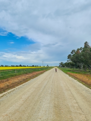 Boy riding bike down country lane beside canola field - Australian Stock Image
