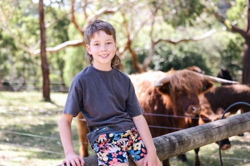 Boy sitting on farm fence with Highland Cows in background - Australian Stock Image