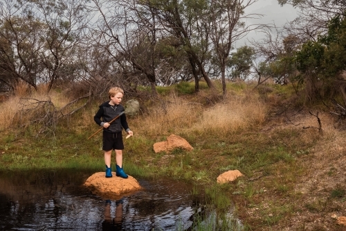 Boy standing on rock in water hole with net to catch tadpoles - Australian Stock Image