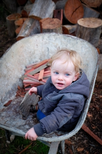 Boy toddler in rustic wheelbarrow collecting wood - Australian Stock Image