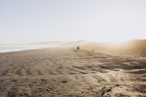 Boy walking dog along beach in golden light at sunset - Australian Stock Image