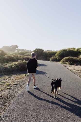 Boy walking dog along walking path at sunset - Australian Stock Image