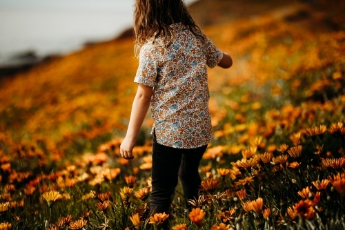 Boy walking in a field of flowers