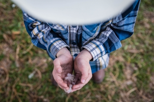 Boy wearing hat holding wool in hands - Australian Stock Image