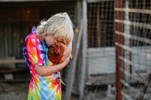 Boy wearing vibrant rainbow shirt holding Isa Brown chicken on farm - Australian Stock Image