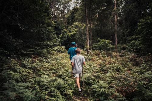 Boys in the bush - Australian Stock Image