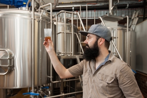 Brewer checking clarity of mash at a microbrewery